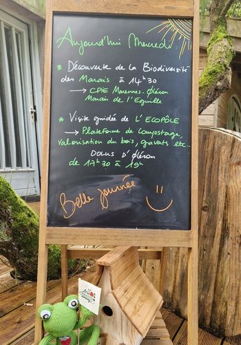 camping animations nature chassiron oléron