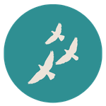 camping le chassiron refuge lpo migration oiseaux